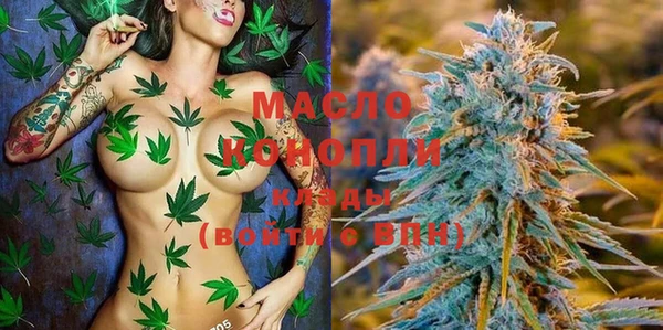 стаф Бородино