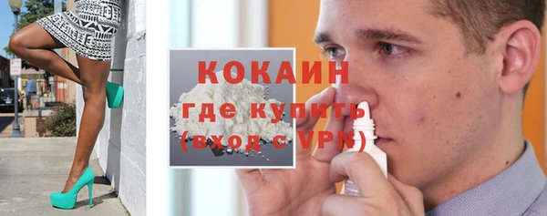 стаф Бородино