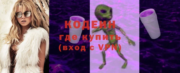 стаф Бородино