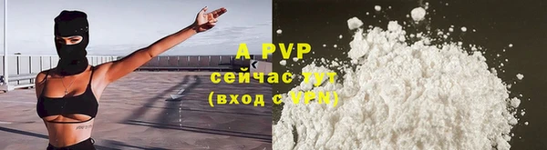 стаф Бородино