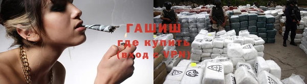 стаф Бородино