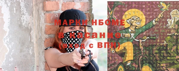 стаф Бородино
