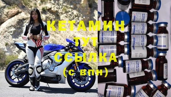 стаф Бородино