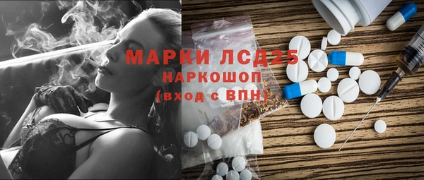 стаф Бородино