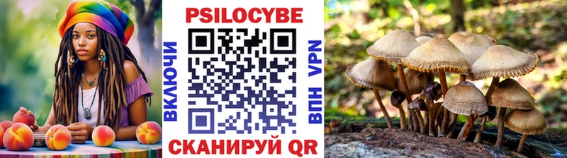 наркошоп  MEGA как войти  Псилоцибиновые грибы мухоморы  Казань 